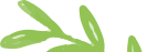 cropped leaves free img.png